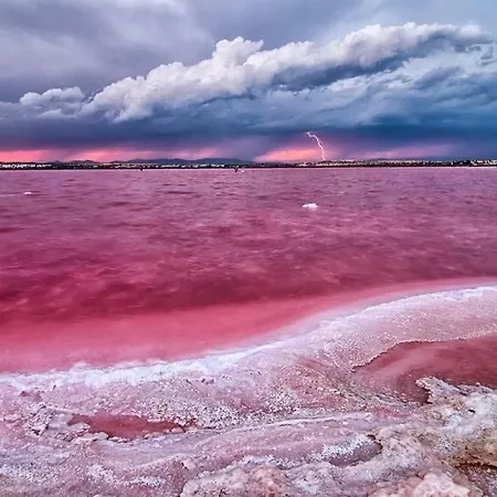 Piso En El Centro * Torrevieja